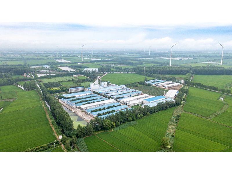 2023年中央一號文件出爐，畜禽產(chǎn)業(yè)應(yīng)抓住哪些新機(jī)遇？