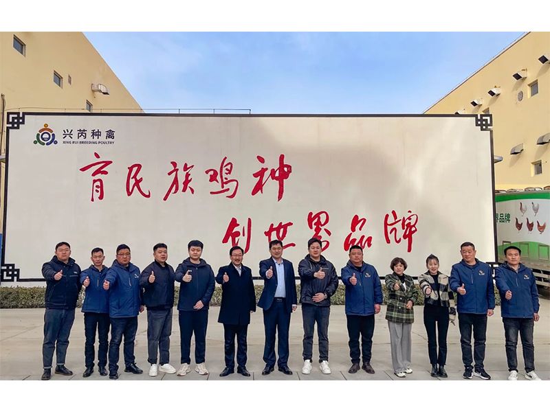 參觀學習促進步 交流合作贏發(fā)展︱卓一牧業(yè)赴興芮種禽、峪口禽業(yè)與瑞普生物參觀訪學
