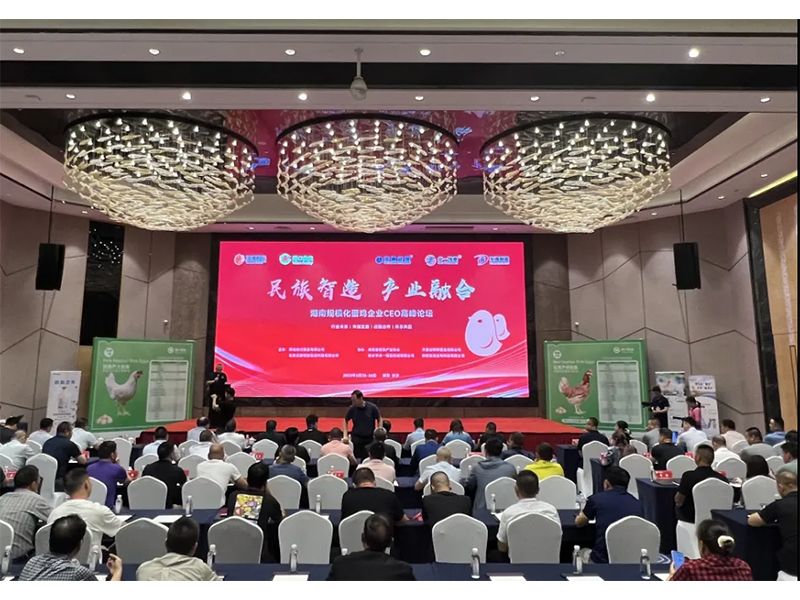 熱烈祝賀湖南規(guī)?；半u企業(yè)CEO高峰論壇取得圓滿成功！
